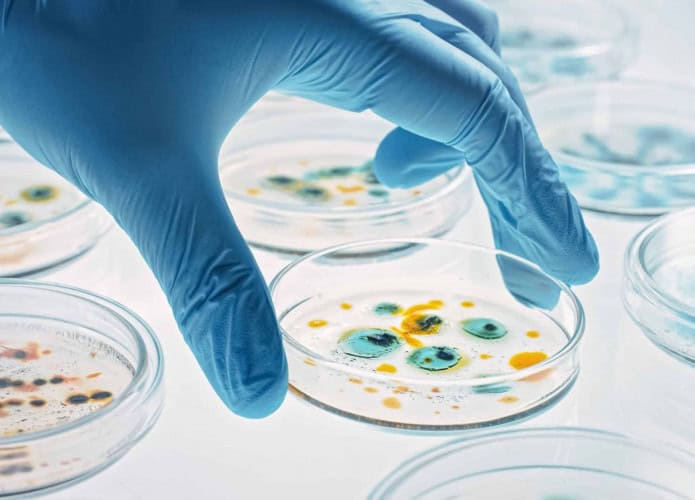 microbiologia