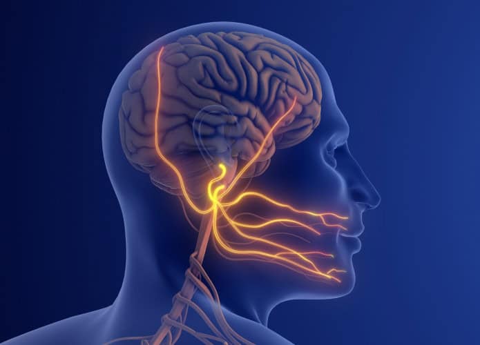 neuralgia-do-trigmeo-1-695x500