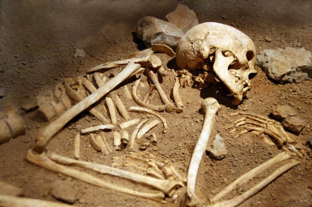 ossos humanos
