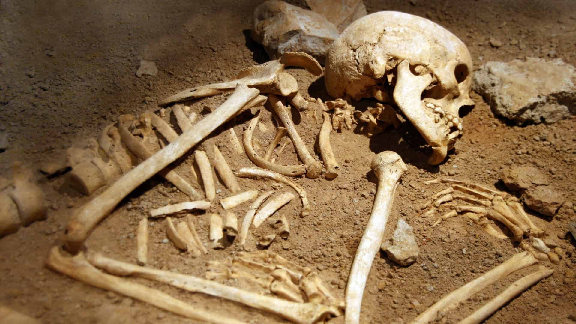 ossos humanos