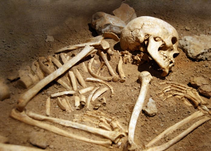 ossos humanos
