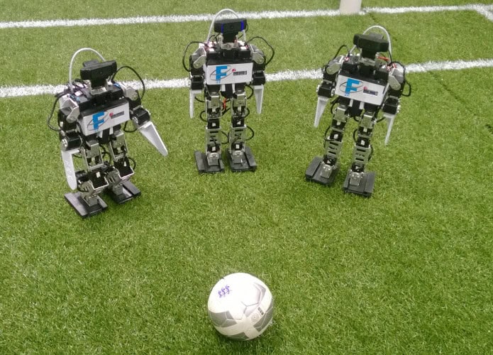 robofei-695x500