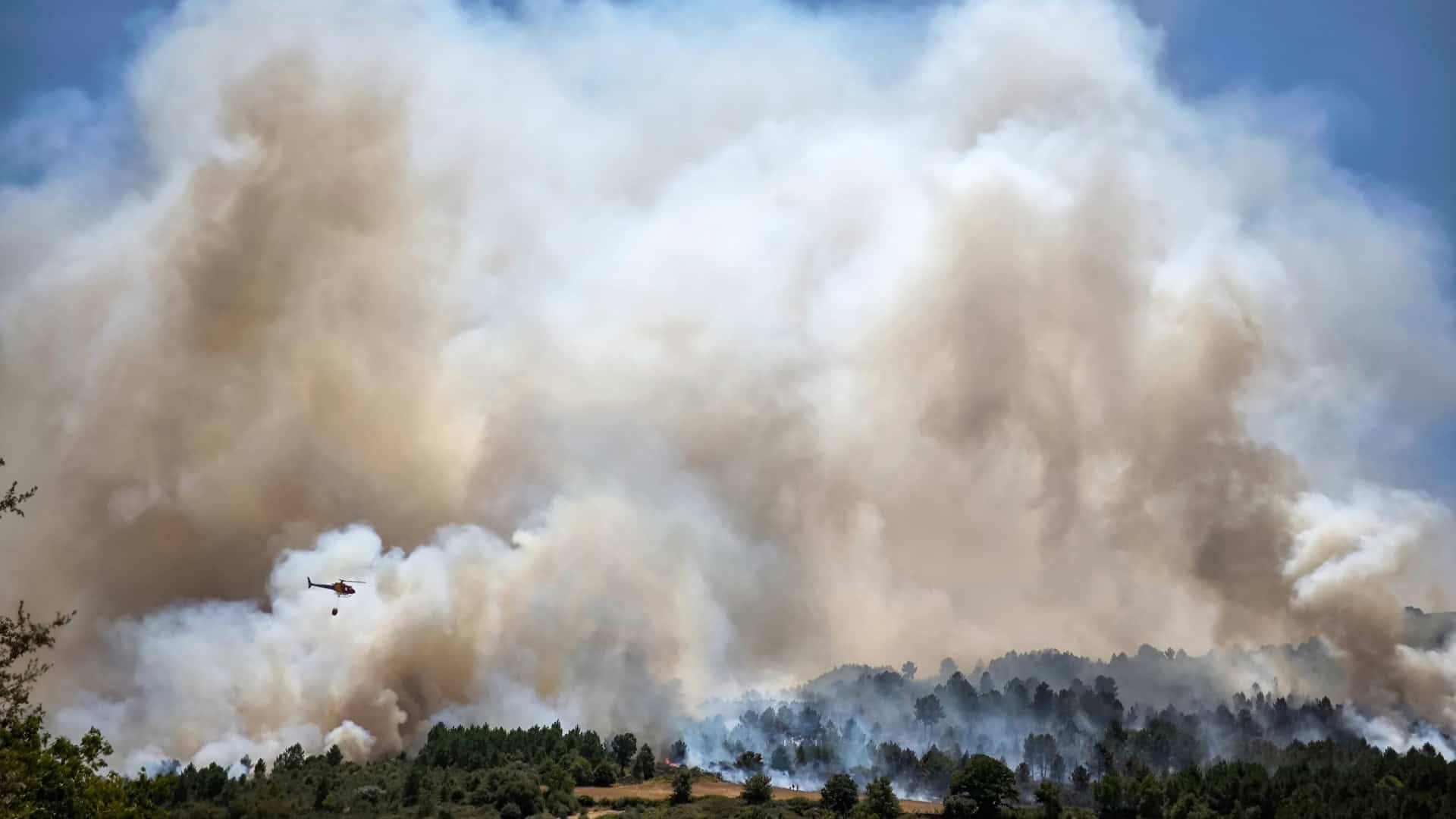 Incêndio florestal em Portugal; fumaças altas