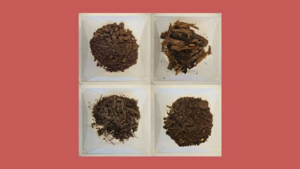 Quatro punhados de terra analisados por pesquisa que descobriu bactérias e antibióticos