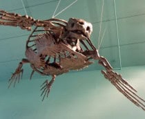 Archelon-voando-210x172