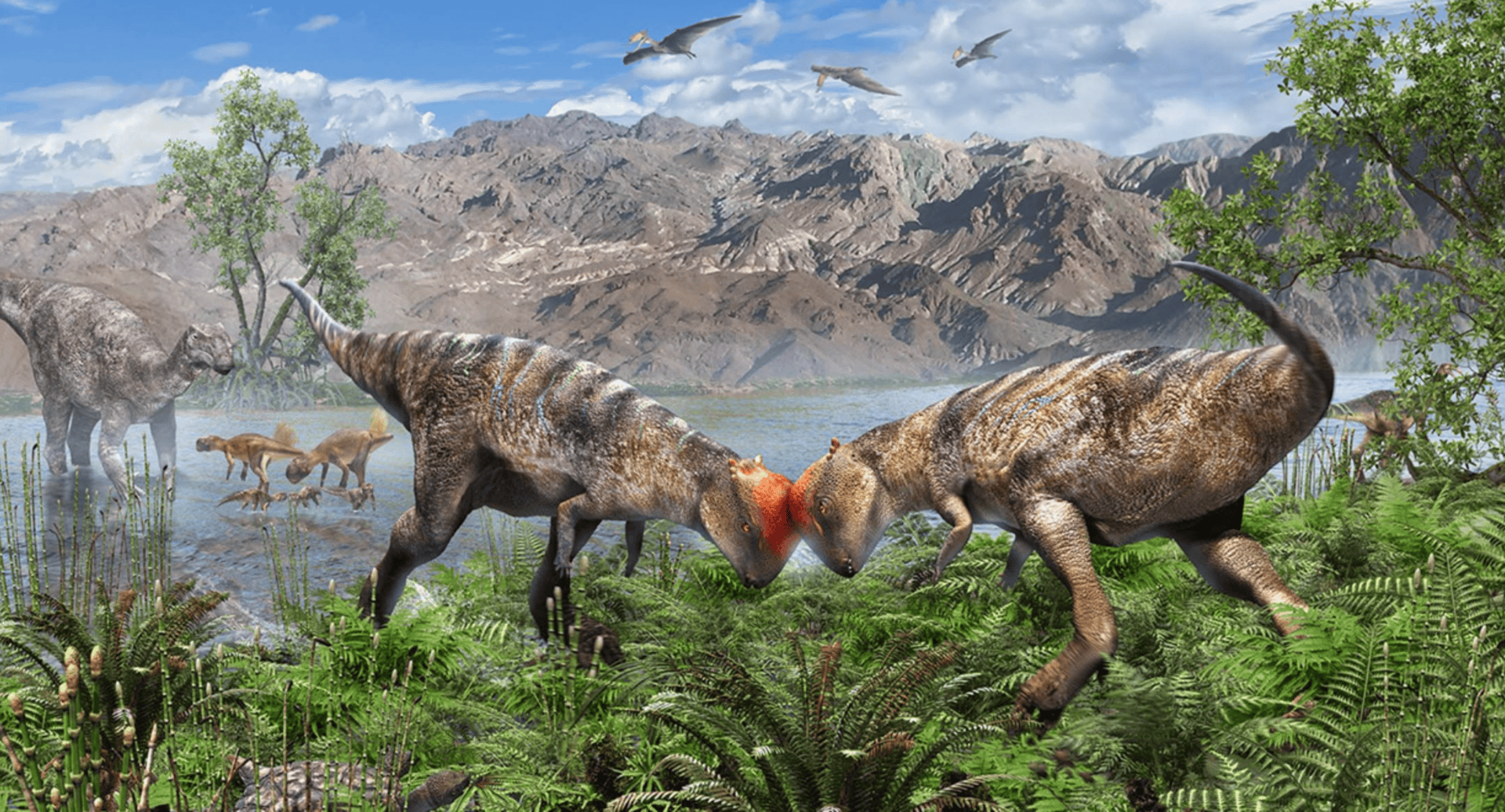 dinossauro Zavacephale
