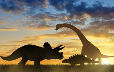 DInos-no-por-do-Sol-365x232