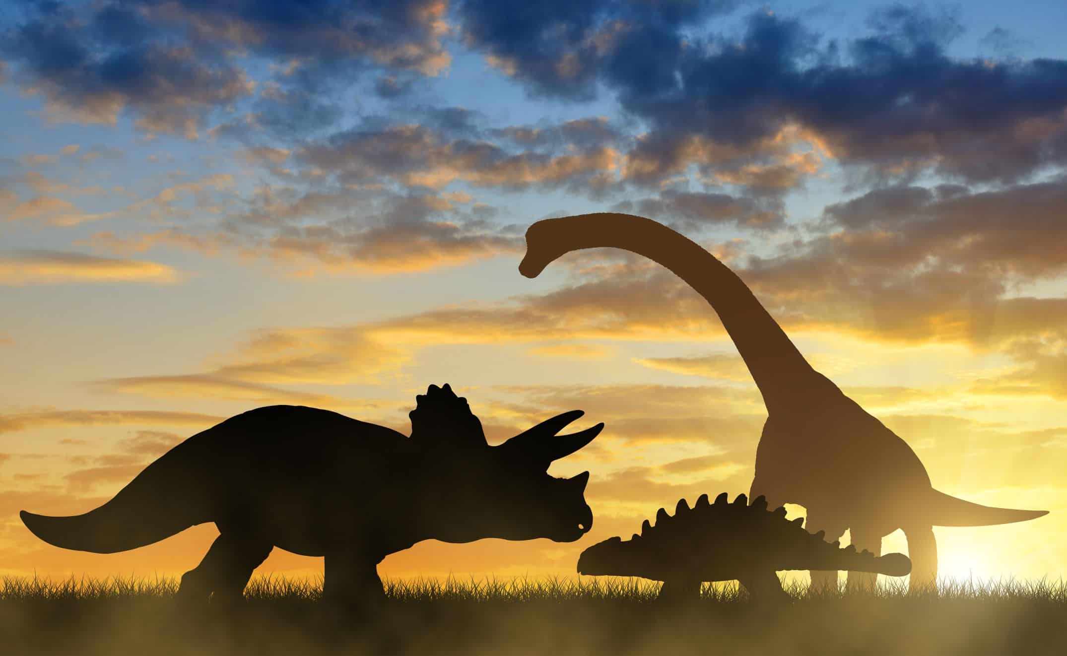 Quanto tempo vivia um dinossauro? Spoiler: é menos do que você imagina