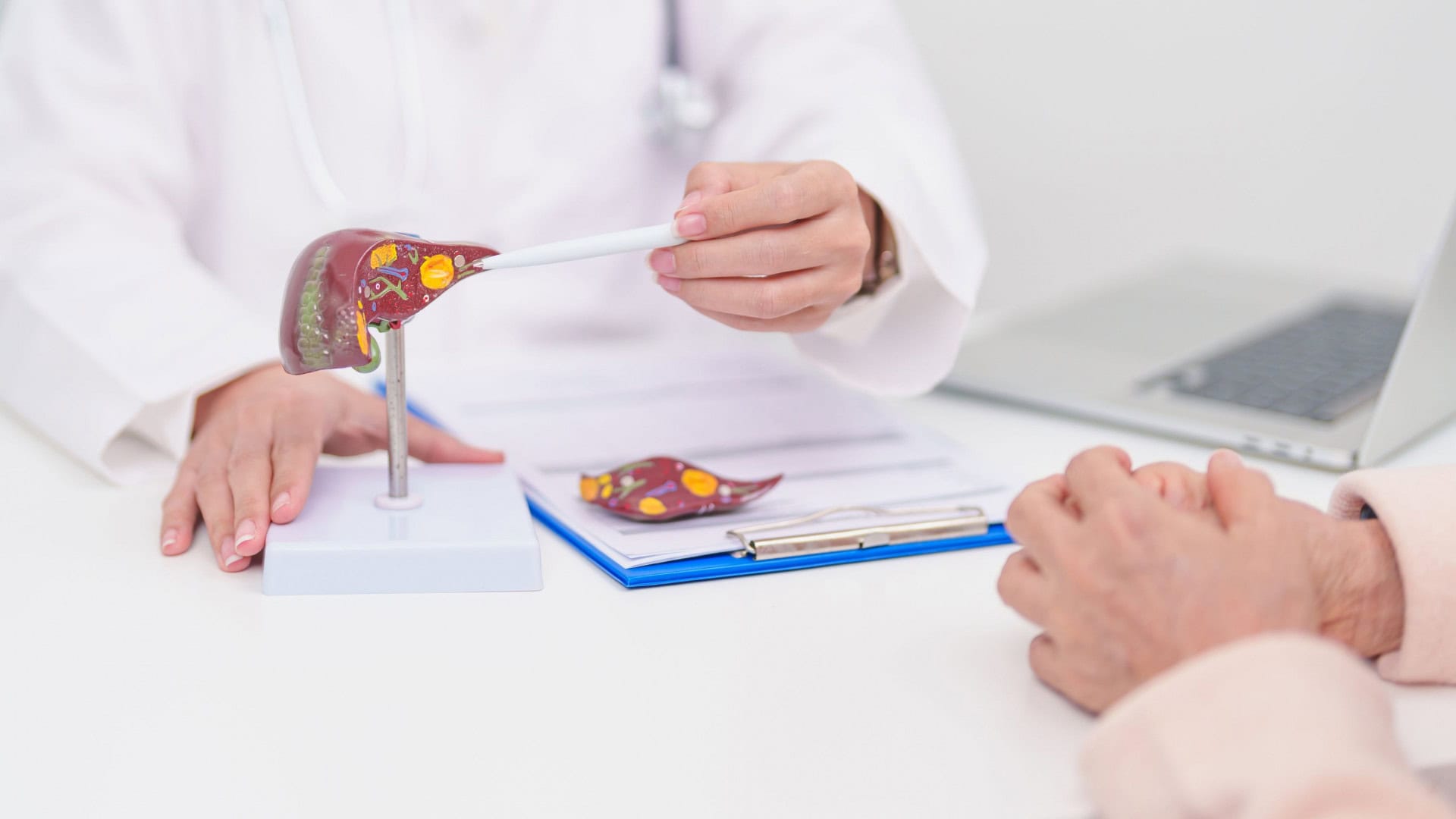 Médico com anatomia do fígado humano. Idosos Consulta médica Saúde para câncer do fígado e tumor, icterícia, hepatite viral, cirrose, falência, aumento, encefalopatia hepática, ascite fluida