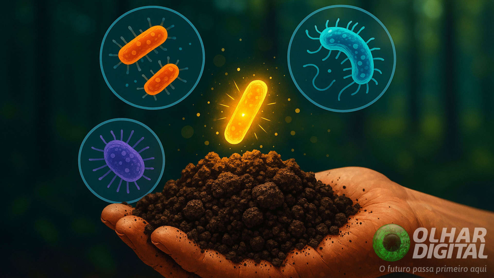 Ilustração de pessoa segurando punhado de terra com bactérias em volta e pílula dourada de antibiótico flutuando em cima