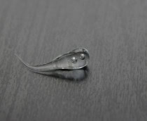 Gota de vidro, também chamada de Gota do Príncipe Rupert, em cima de mesa de madeira em imagem preto e branco