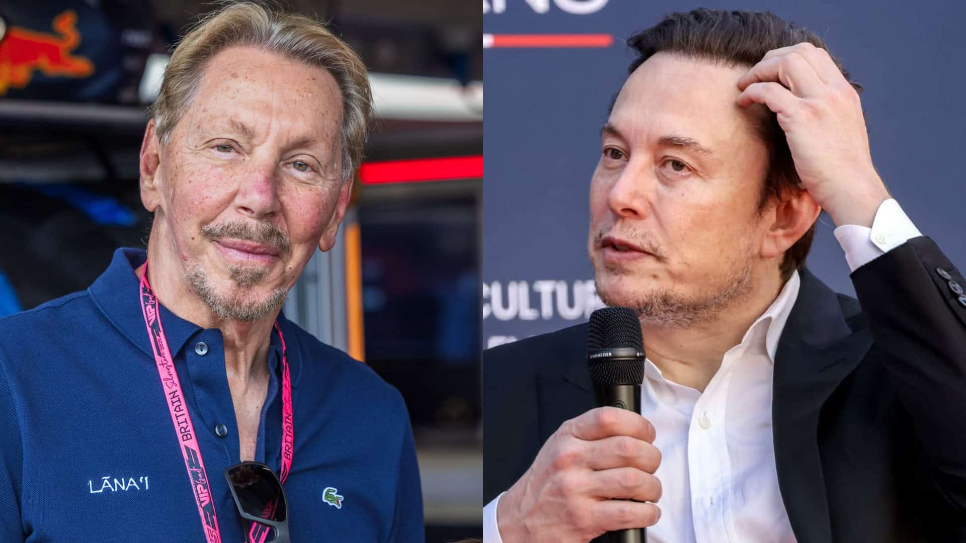 Larry Ellison e Elon Musk