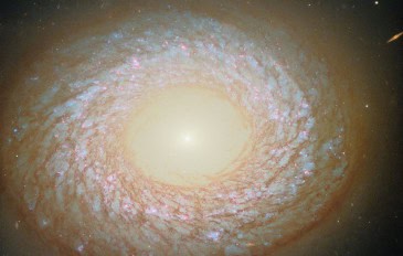 Galáxia NGC2775