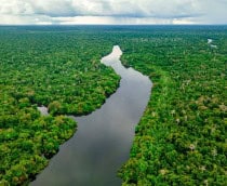 Amazônia