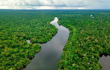 Amazônia
