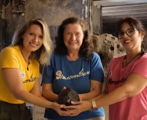 as-meteoriticas-1-210x172