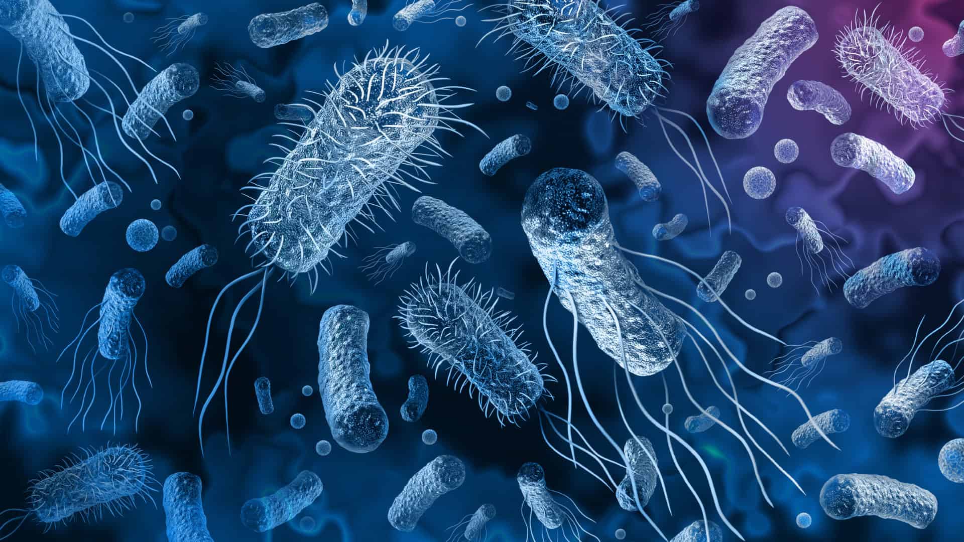 bacteria resistente