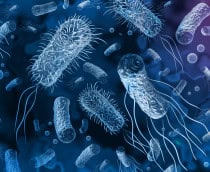 bacteria resistente