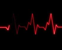 batimento-cardiaco-shutterstock_2653670197-210x172