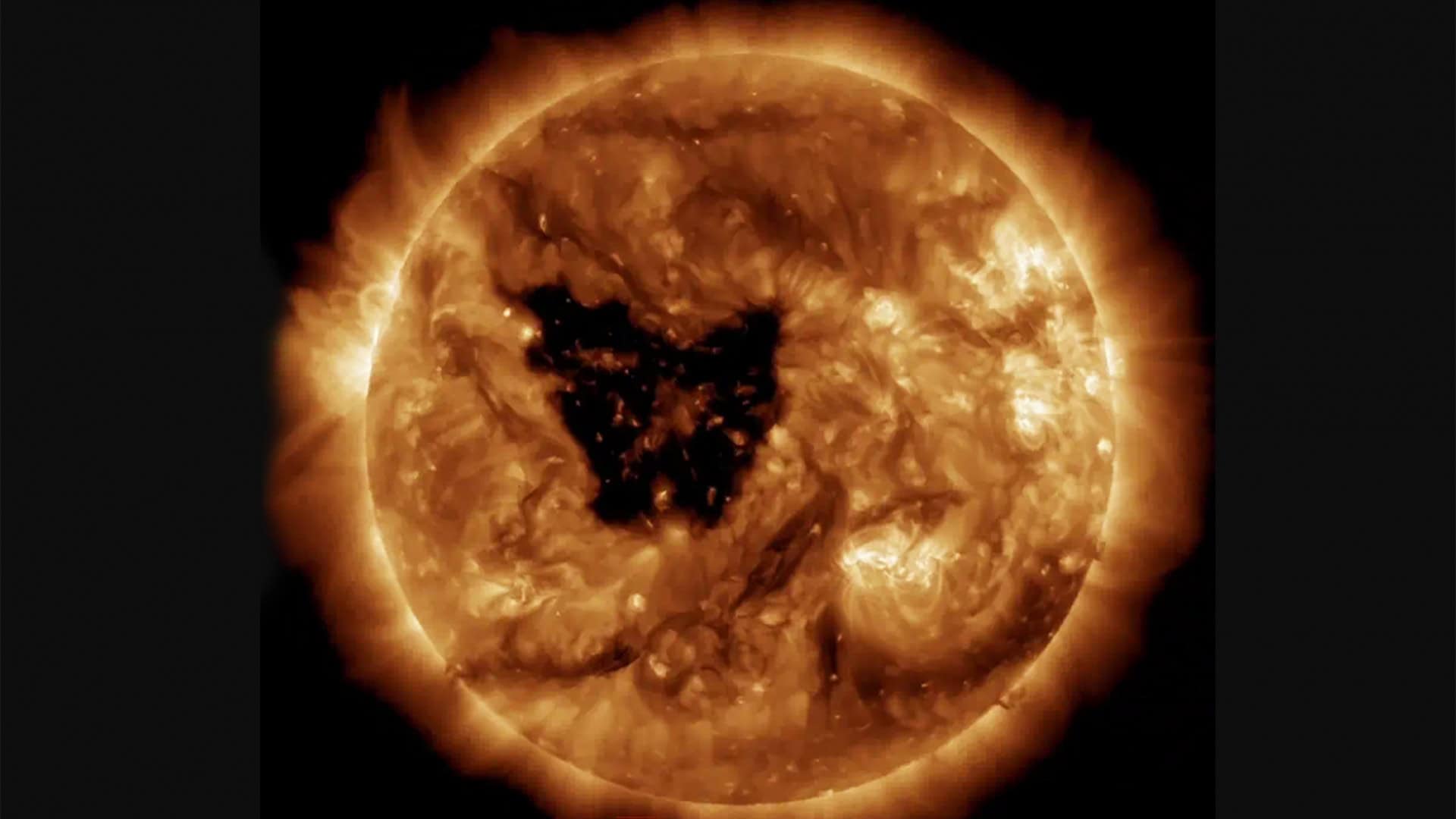 borboleta-no-sol-1920x1080