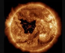 borboleta-no-sol-210x172