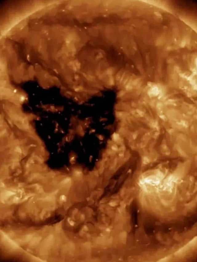 Buraco em forma de borboleta 23 vezes maior que a Terra se abre no Sol