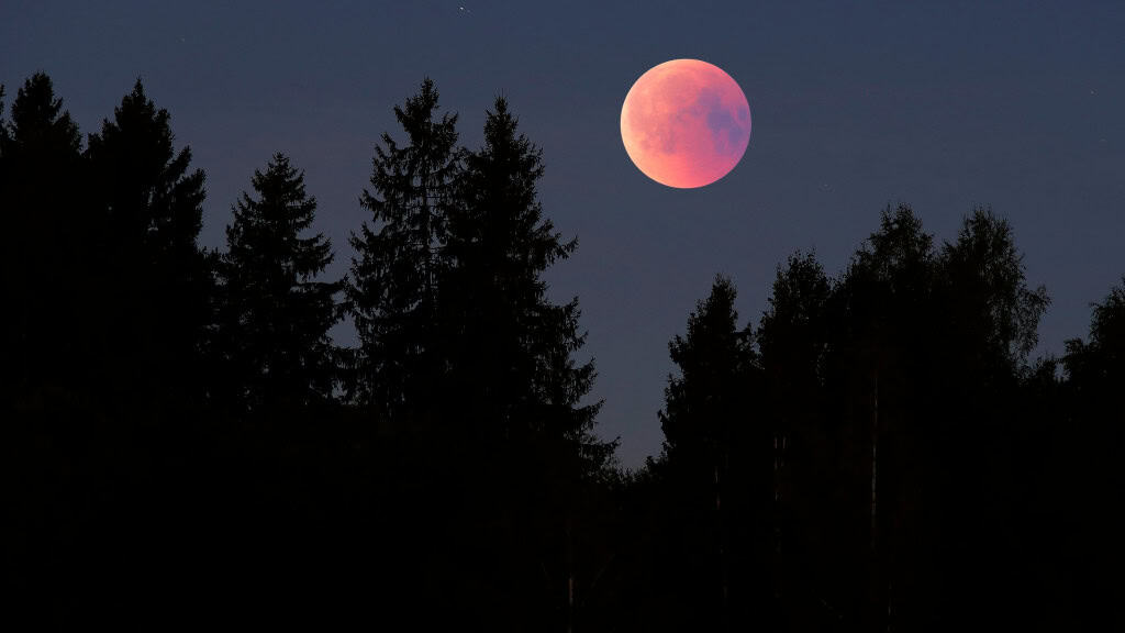 Registro de um eclipse lunar parcial com a lua em cima de uma floresta