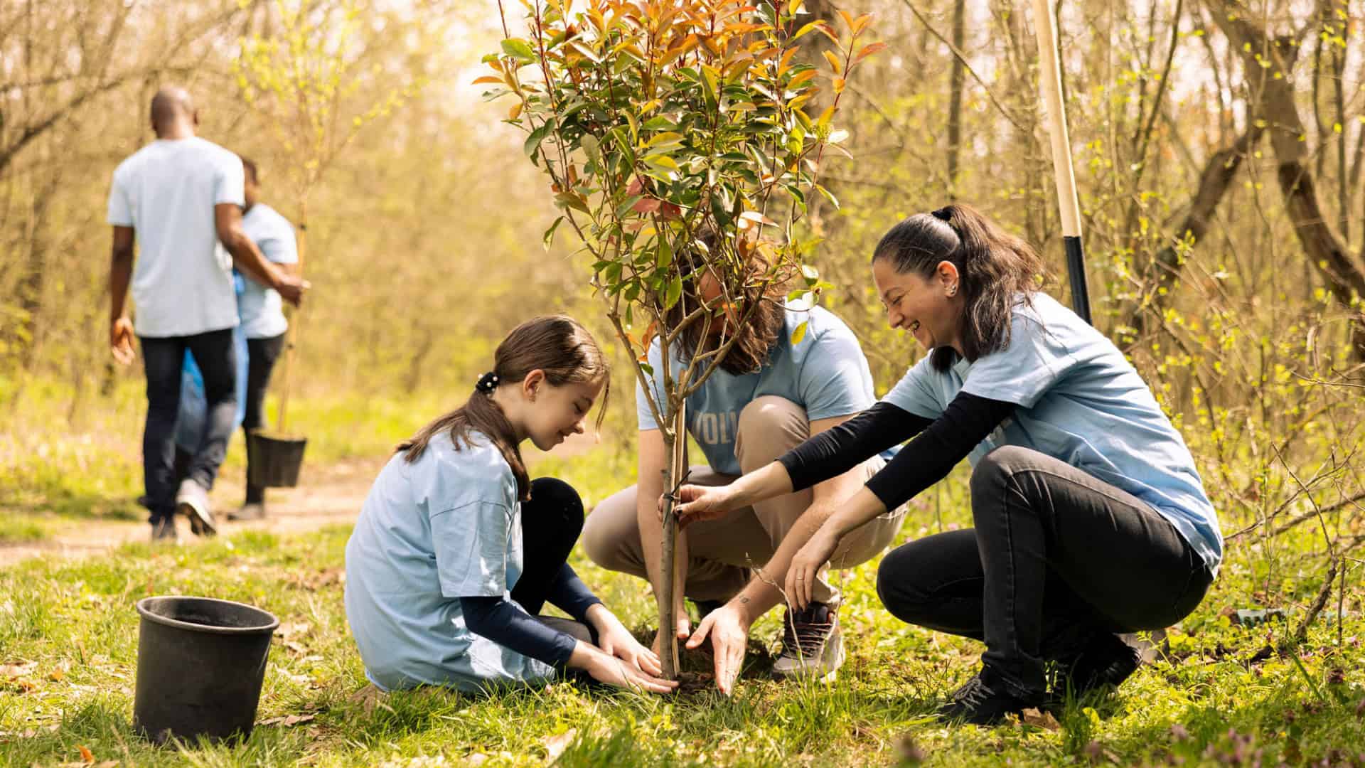 Aula de educação ambiental