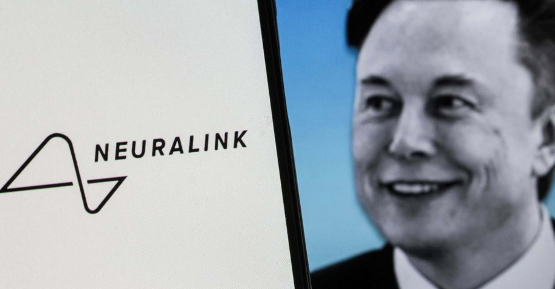 elon musk neuralink