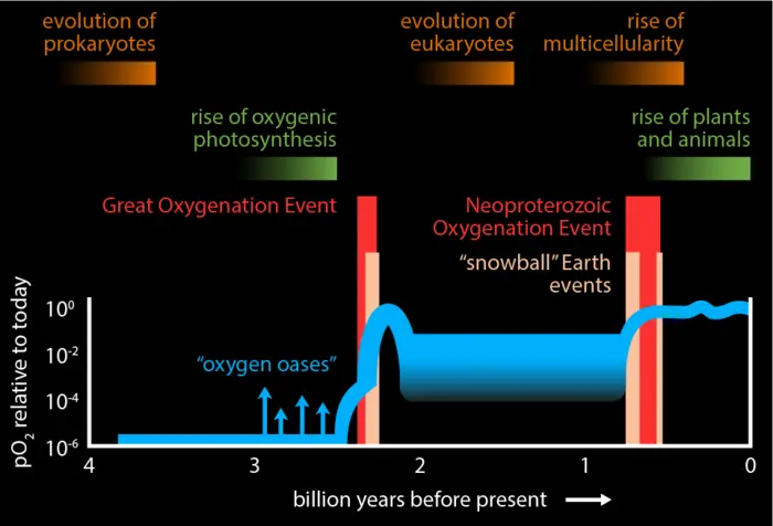 Gráfico que indica eventos importantes na história da Terra
