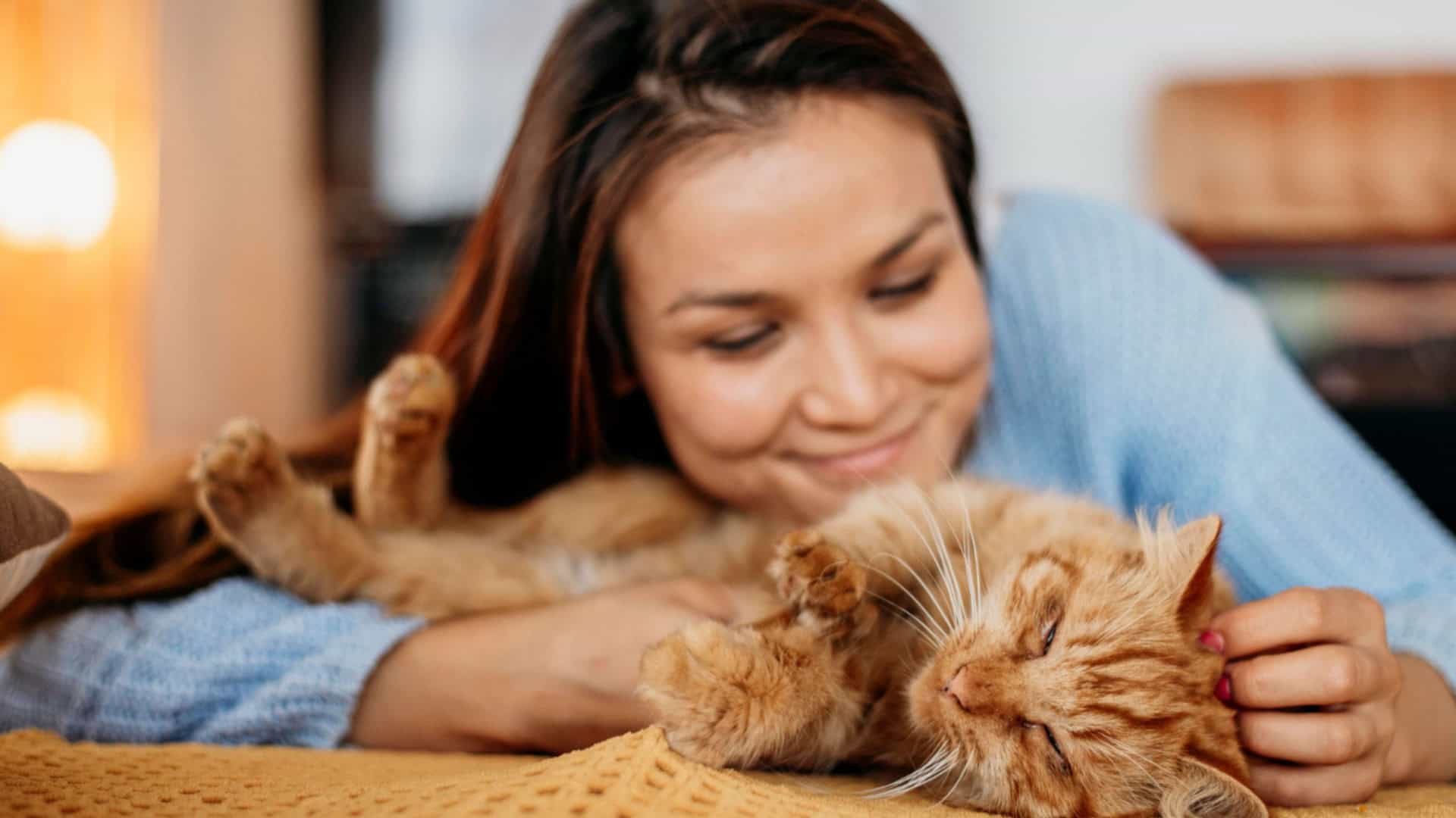 mulher fazendo carinho em gato laranja