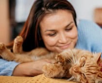 mulher fazendo carinho em gato laranja