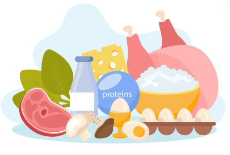 ilustração com diversos tipos de carnes, vegetais, laticinios