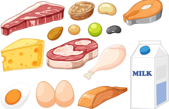 ilustração de diversos tipos de alimentos que possuem proteinas