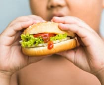 obesidade infantil