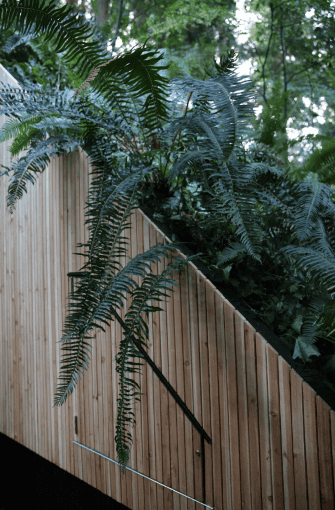 plantas banheiro