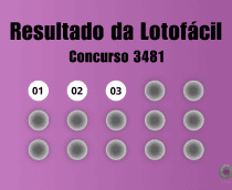 Resultado da Lotofácil concurso 3481