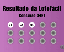 Resultado da Lotofácil concurso 3491