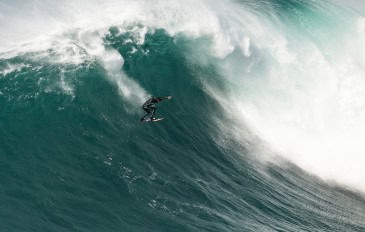 shutterstock_2376042843-1-365x232