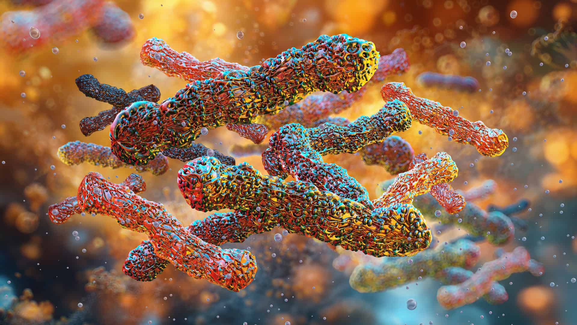 Bacillus-subtilis-1920x1080