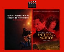 Montagem com pôsteres dos filmes