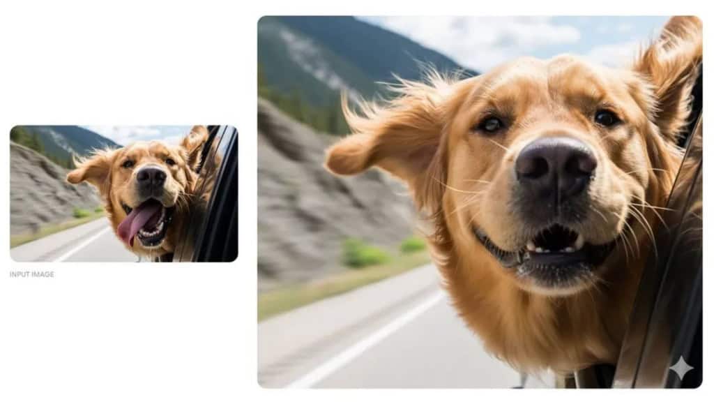 Montagem com foto de cachorro e imagem editada no Nano Banana do Google