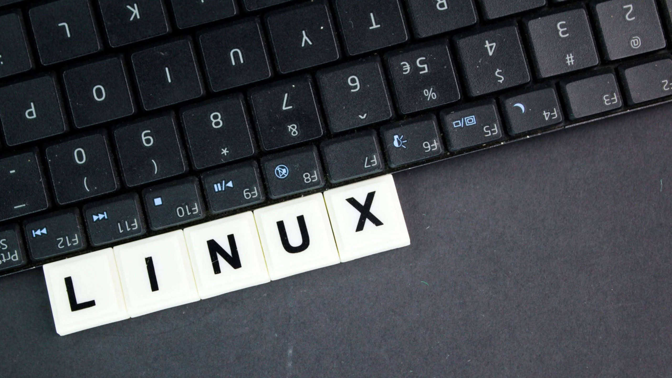 7 opções de distro Linux para substituir o Windows 10 e 11