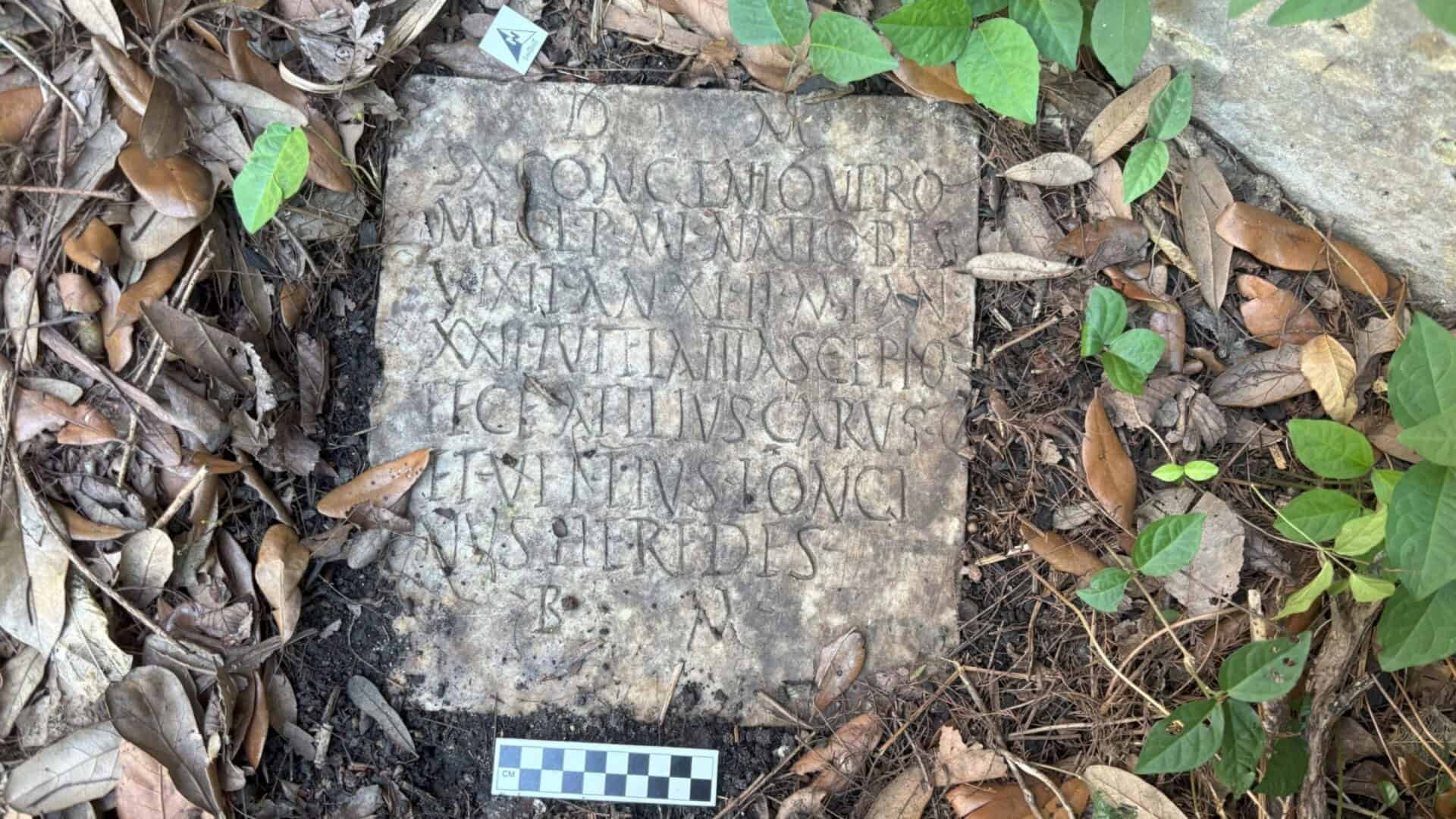 Lpide-romana-1920x1080