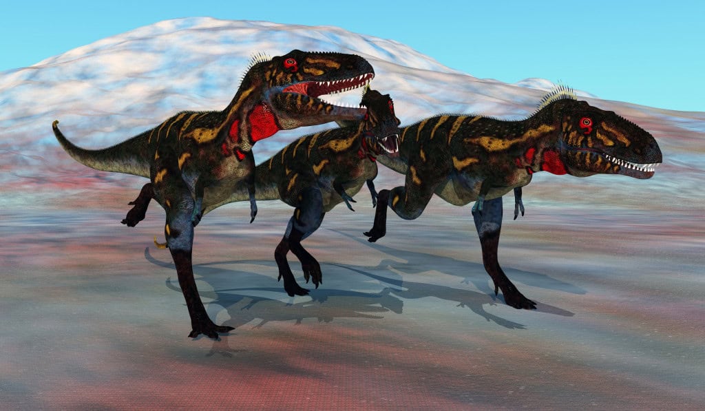 Nanotyrannus
