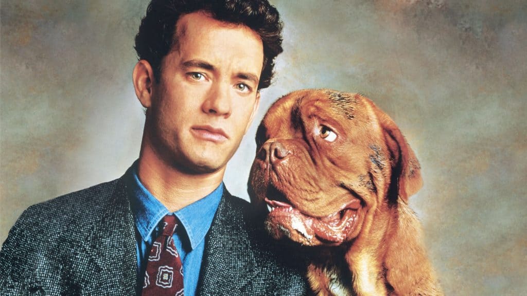 tom hanks cachorro