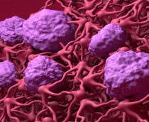 Ilustração 3D de barreira hematoencefálica (BHE) no cérebro humano