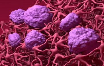 Ilustração 3D de barreira hematoencefálica (BHE) no cérebro humano