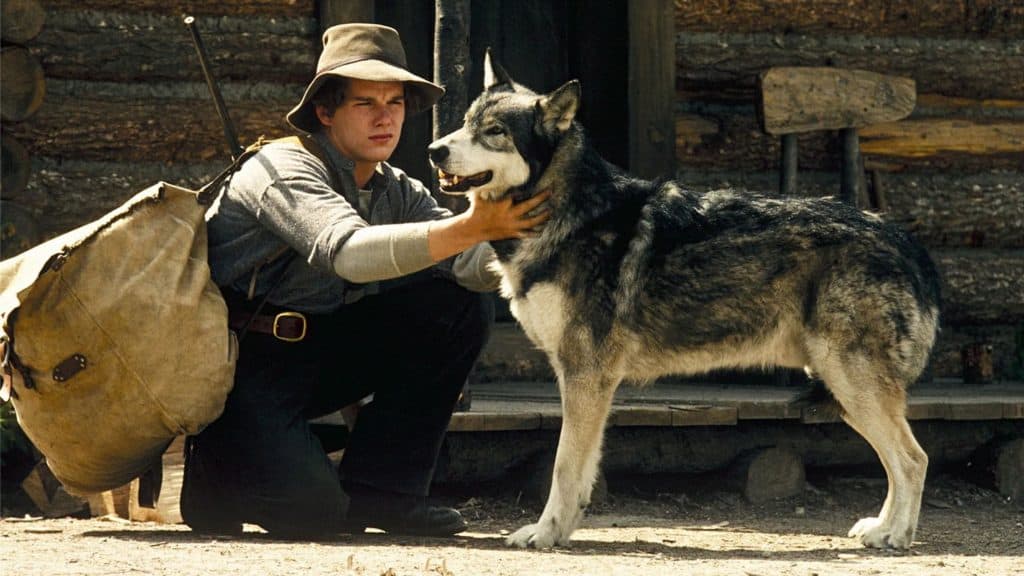 homem agachado com cachorro