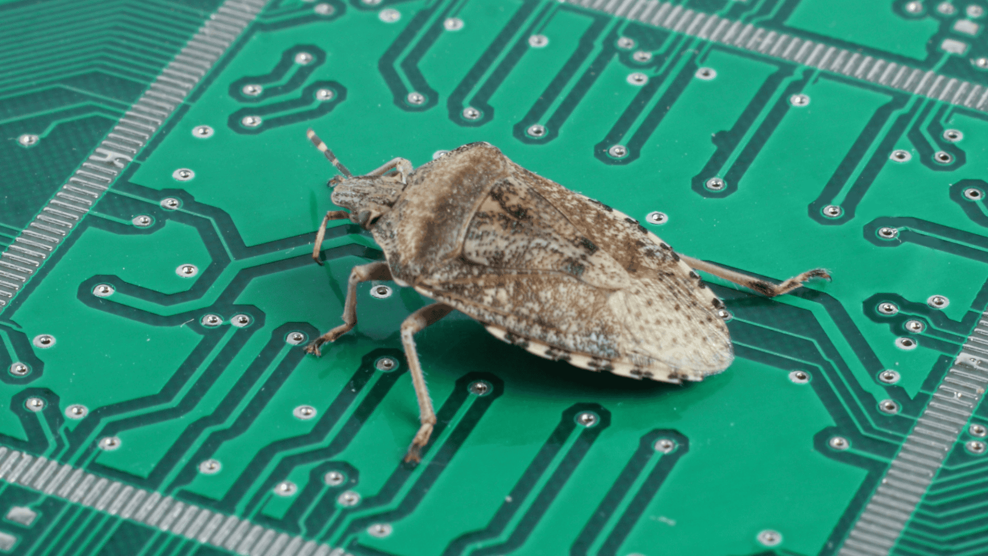 primeiro bug de um computador